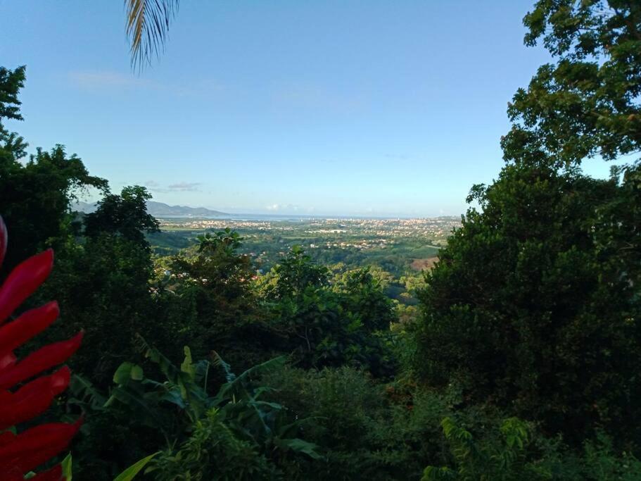 Martinique La Petite Maison Dans La Colline Le Lamentin Kültér fotó
